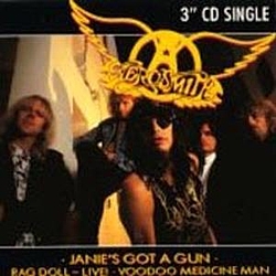 Aerosmith - Janie&#039;s Got a Gun album