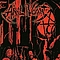 Anal Vomit - Demoniac Flagellations album