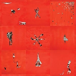 Animal Collective - Hollinndagain альбом