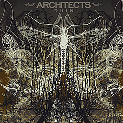 Architects - Ruin album