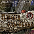 Arrested Development - Among The Trees album