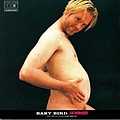 Babybird - Fatherhood album