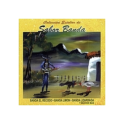 Banda El Recodo - Coleccion Estelar de Sabor Banda альбом