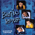 Barrio Boyzz - 12 Super Exitos album