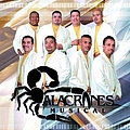 Alacranes Musical - Furia Alacranera album