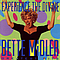 Bette Midler - Experience the Divine: Greatest Hits album