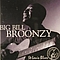 Big Bill Broonzy - St. Louis Blues album
