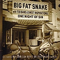 Big Fat Snake - One Night of Sin альбом