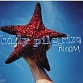 Billy Pilgrim - Bloom album