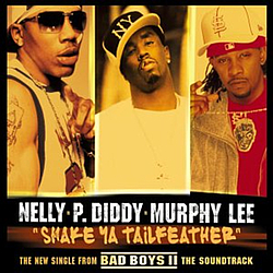 Nelly Feat. P Diddy &amp; Murphy Lee - Shake Ya Tailfeather album