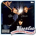 Bliss N Eso - Flowers in the Pavement альбом