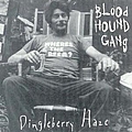 Bloodhound Gang - Dingleberry Haze album