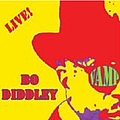 Bo Diddley - Vamp album