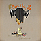 Bowerbirds - Hymns for a Dark Horse album
