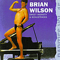Brian Wilson - Sweet Insanity (Dumb Angel. Rarities, Volume 15) album