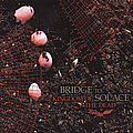 Bridge To Solace - Kingdom of the Dead album