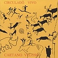 Caetano Veloso - Circuladô Vivo album