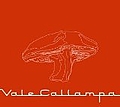 Cafe Tacuba - Vale Callampa  альбом