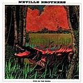 Neville Brothers - Fiyo On The Bayou альбом