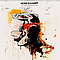 Peter Doherty - Grace/Wastelands album