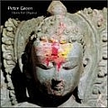 Peter Green - Blues For Dhyana альбом