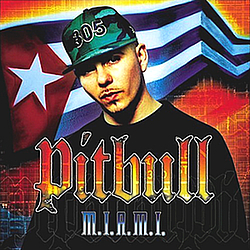 Pitbull Feat. Lil&#039; Jon &amp; Fat Joe - M.I.A.M.I. album