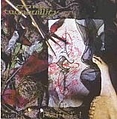 Dark Tranquillity - The Mind&#039;s I / Enter Suicidal Angels альбом