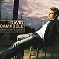 David Campbell - When She&#039;s Gone album