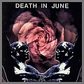 Death In June - Rose Clouds of Holocaust album