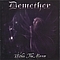 Demether - Within the Mirror album
