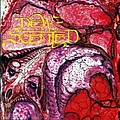 Dew-Scented - Immortelle album