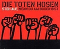 Die Toten Hosen - Steh auf, wenn du am Boden bist альбом