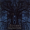Diecast - Tearing Down Your Blue Skies album