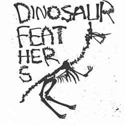 Dinosaur Feathers - Know Your Own Strength/History Lessons album
