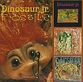 Dinosaur Jr. - Fossils альбом