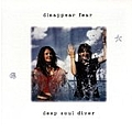 Disappear Fear - Deep Soul Diver album