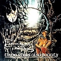Dissolving Of Prodigy - Time Ruins Also Beauty album