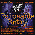 Disturbed - WWF Forceable Entry album