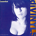 Divinyls - Essential альбом