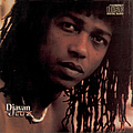 Djavan - Luz album