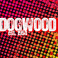 Dogwood - Live at Chain Reaction альбом