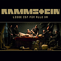 Rammstein - Liebe Ist Für Alle Da album