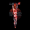 Elend - The Umbersun album