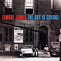 Elmore James - The Sky Is Crying альбом