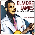 Elmore James - The Master Of The Slide Guitar album