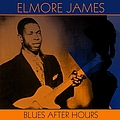 Elmore James - Blues After Hours album