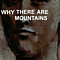 Cymbals Eat Guitars - Why There are Mountains album