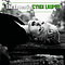 Cyndi Lauper - The Essential Cyndi Lauper album