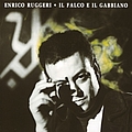 Enrico Ruggeri - Il falco e il gabbiano album