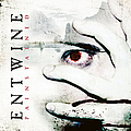 Entwine - Painstained album